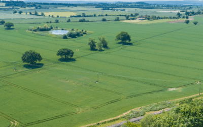 8 Signs Your Land Has Development Potential